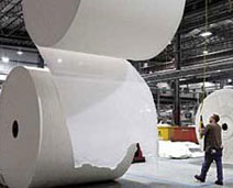 Paper Roll